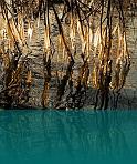 horvath_peter_003