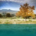 horvath_peter_018