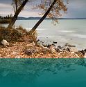 horvath_peter_026