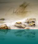 horvath_peter_027